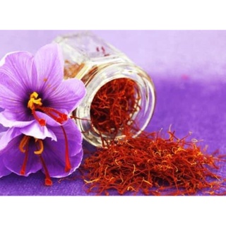 SAFFRON- Nhuỵ hoa nghệ tây