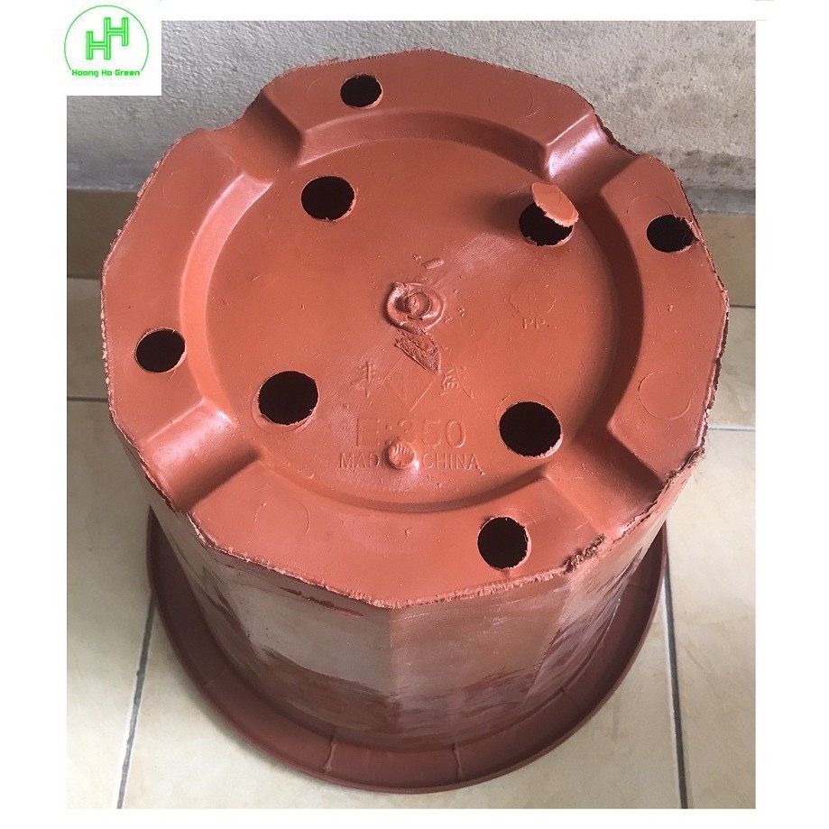 Chậu nhựa trồng cây, chậu ươm cây màu nâu E280, E300, E320, E350- hàng công ty dày đẹp KT 23x20cm.