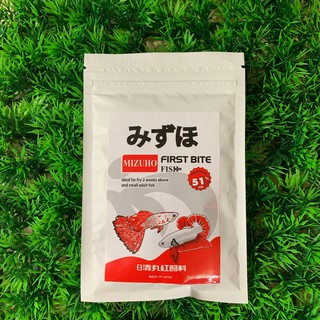 🅱🅴🆂🆃Cám Mizuho Guppy Betta Cá Thuỷ Sinh