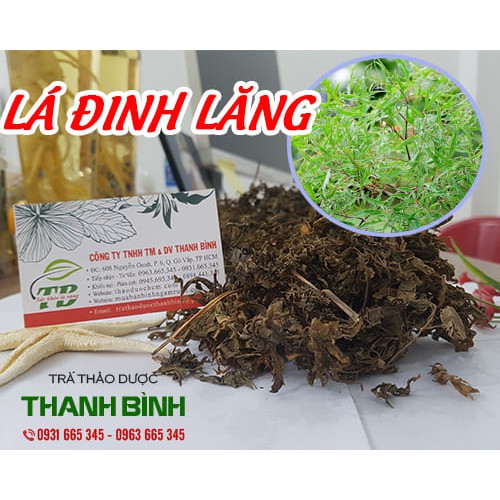 Lá Đinh Lăng Khô 100Gr - Loại 1 Chất Lượng