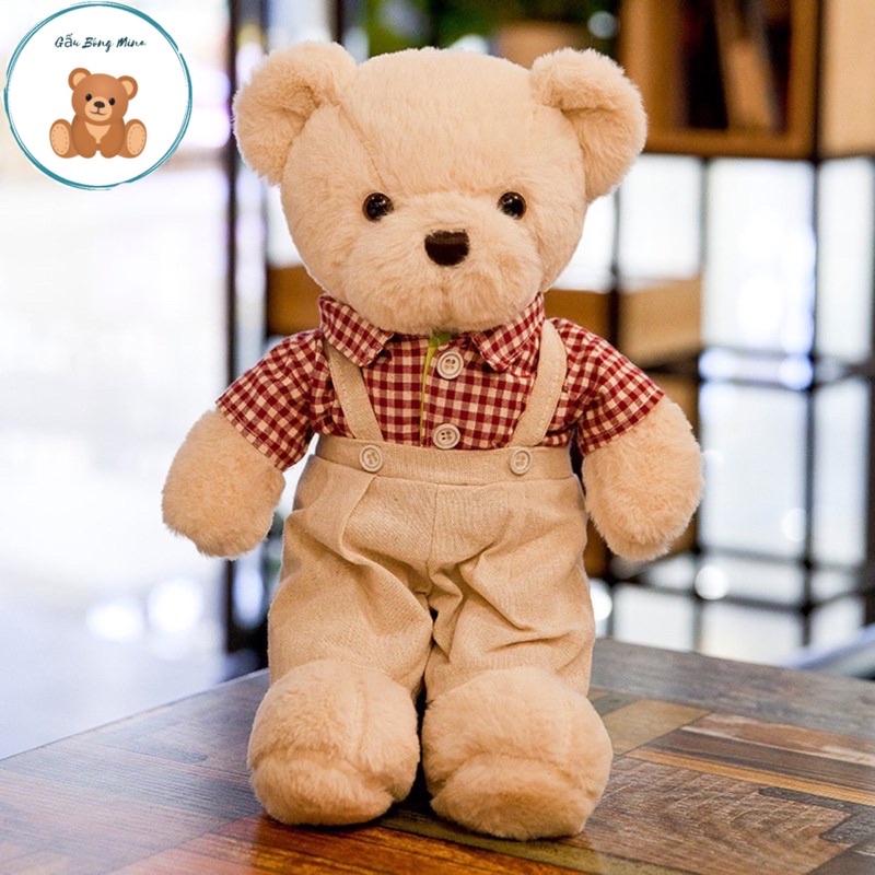 Gấu Bông Teddy - Teddy Đôi Dễ Thương Cho Bé - Gấu Bông Mina