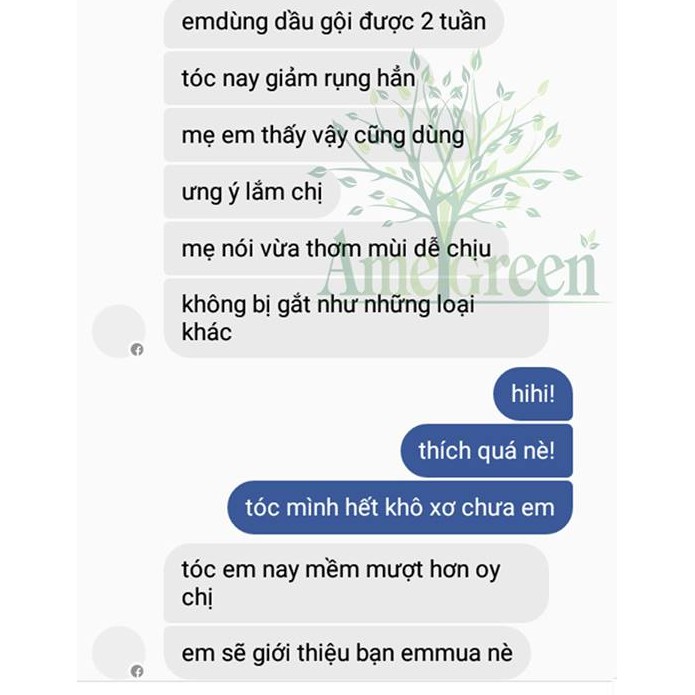 Dầu Gội Vỏ Bưởi Premium Amegreen 600ml giảm rụng tóc ,kích mọc tóc, an toàn cho mẹ bầu và sau sinh