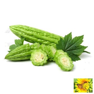 Hạt Giông Mướp Đắng 10 Hạt