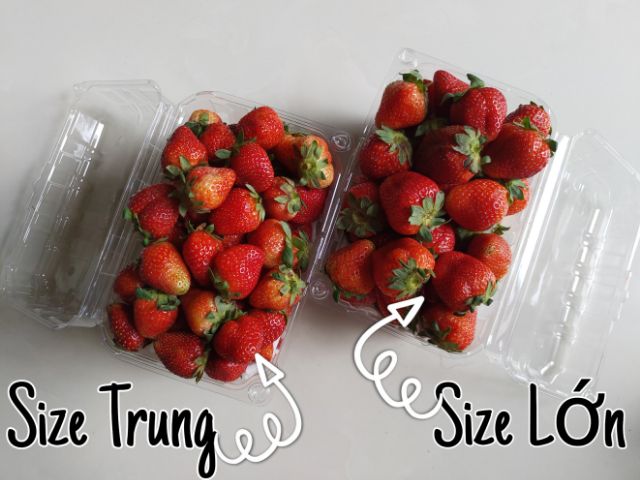 Dâu tây Đà Lạt thường lớn (hình thật) | BigBuy360 - bigbuy360.vn
