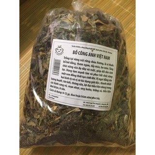Bồ công anh rừng Chùa Hương