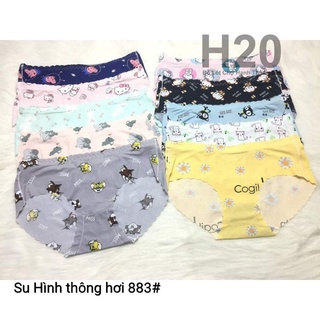 Combo 10 quần chip su hình thông hơi 883