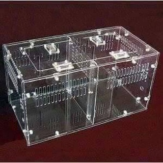 Hộp nuôi nhện 40-20-20 hai ngăn tank tarantula