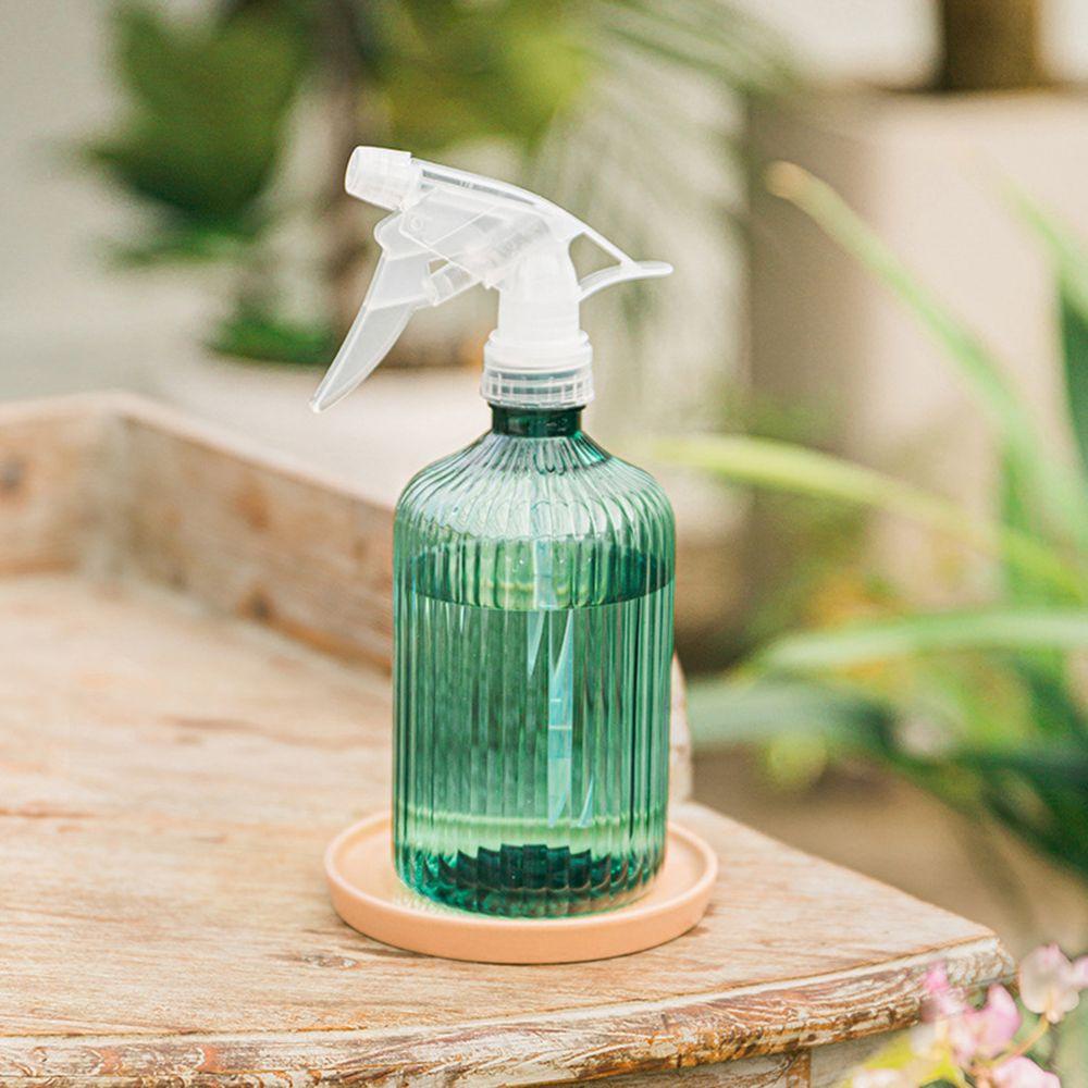 Bình Xịt Nước Tưới Cây Bằng Nhựa Trong Suốt