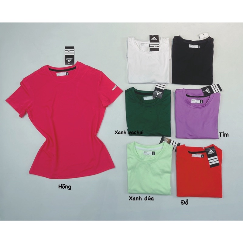 Áo Thun Thể Thao Tập Gym Yoga Nữ - Áo Thun Thể Thao Cổ Tròn Trơn P5000 Basic Thoáng Mát Dễ Mặc