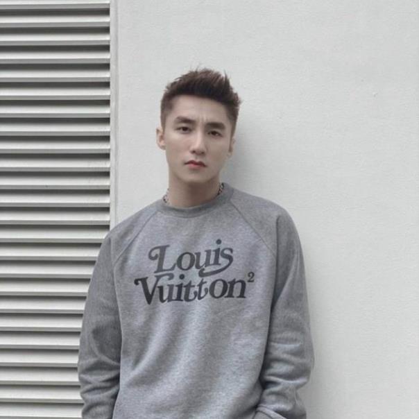 Áo thun L_V dài tay Sơn Tùng, chất cottn cực đẹp, không xù lông ⇞ . * ^ ' ! !