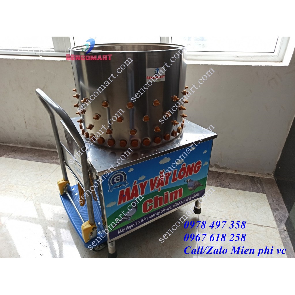 Máy nhổ lông chim câu chim cút siêu nhanh