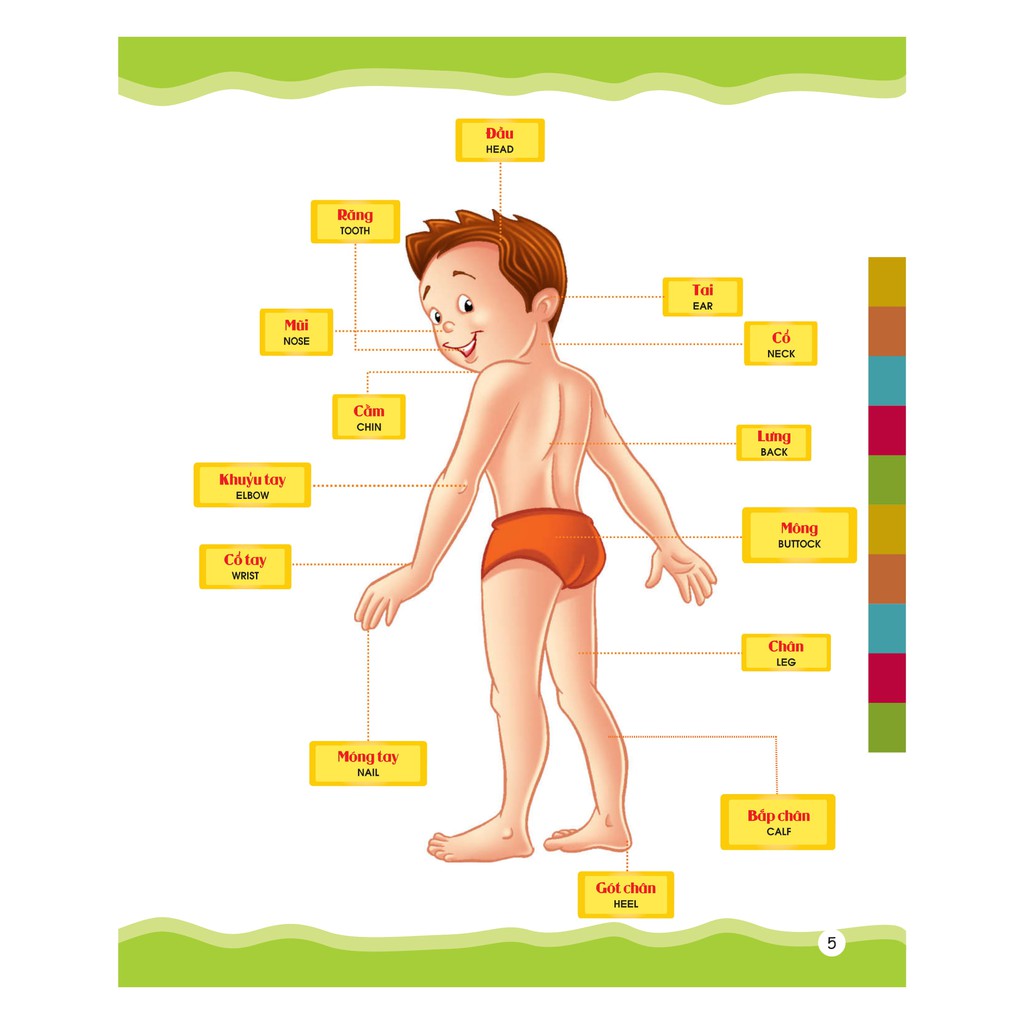 Sách Từ Điển Bằng Hình Của Tôi: Em Thích Miêu Tả (Dành Cho Trẻ Từ 4 - 6 Tuổi)