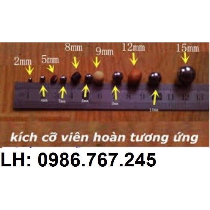 Máy làm viên hoàn mềm DZ-20