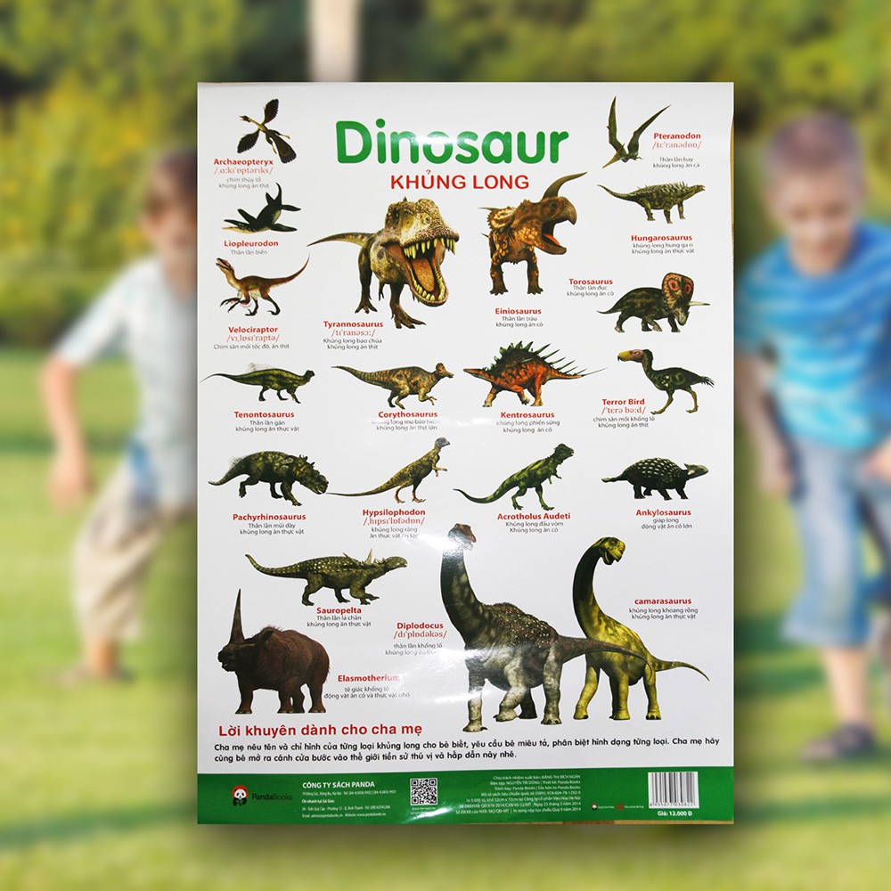 Sách Pandabooks- Poster - Khủng Long - Dinosaur