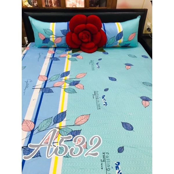 Ga lẻ 1m6 x 2m nệm cao 17-25cm Cotton Thắng Lợi 100% chuẩn logo( không kèm áo gối) được chọn mẫu