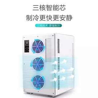 Tủ lạnh mini 10L Youlite Order
