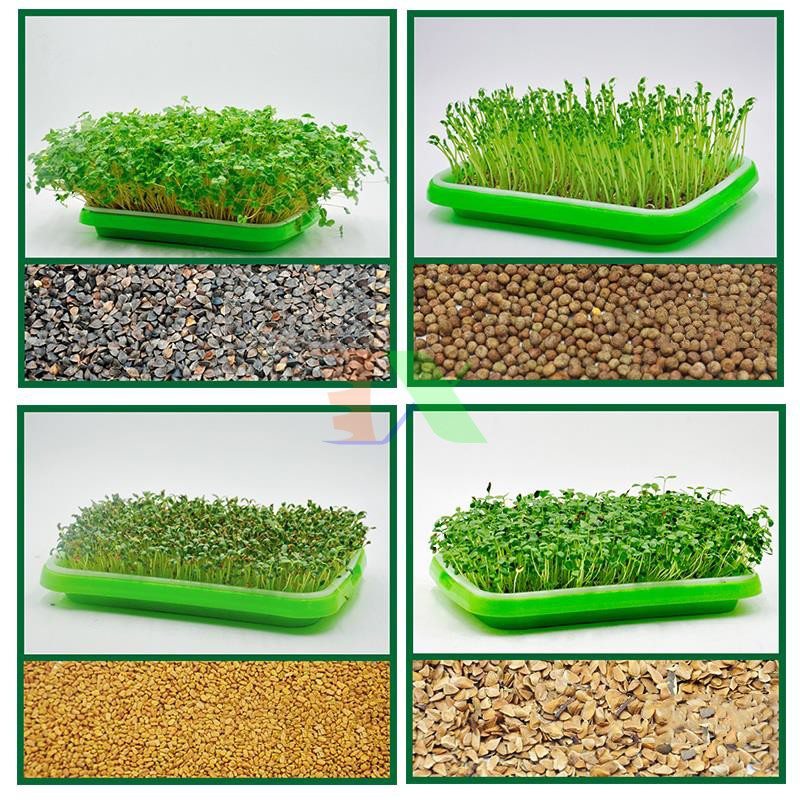 Bộ kit Khay trồng rau mầm thủy canh chuyên dụng (6 khay 3 tầng )