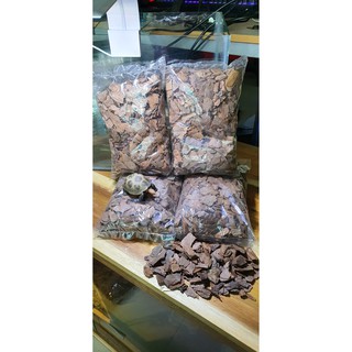 Gỗ Thông Lót Chuồng dành cho Bò Sát