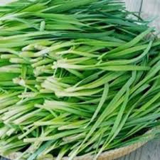 Hạt giống RD Hẹ lá Rado 83 gói 1gr