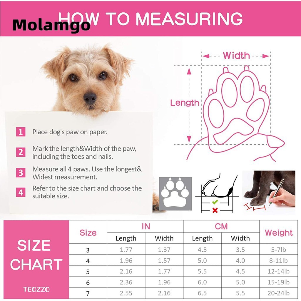 Set 4 ủng đi mưa kháng nước dễ thương cho thú cưng giày cho thú cưng giày cho cún