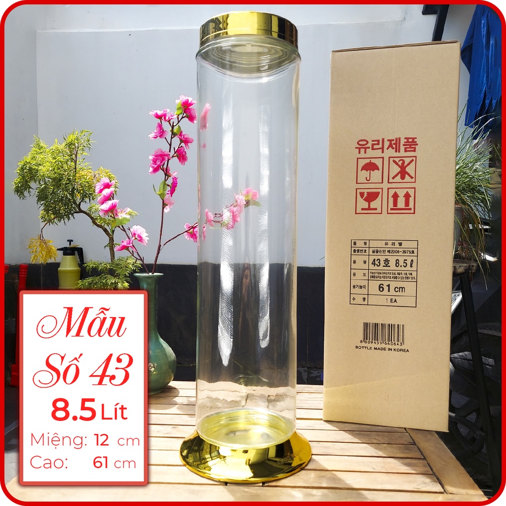 Bình ngâm rượu thủy tinh sâm Hàn Quốc 8,5L hình Trụ - HANRIDO. Phóng sâm - Sang trọng - Sức khỏe