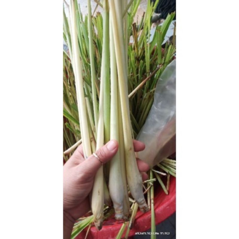 COMBO 1kg2: GỒM CÁC NGUYÊN LIỆU ĐỂ NẤU "LẨU LÁ É" - SET DÀNH CHO 1 NGƯỜI THẬT TIẾT KIỆM.