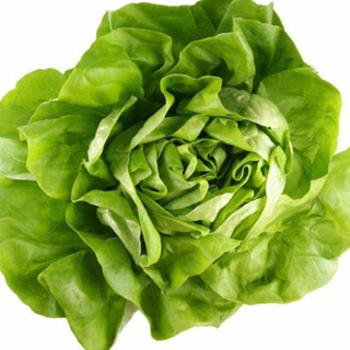 2gr hạt giống xà lách đăm