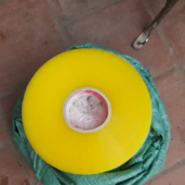 Băng dính hải lý