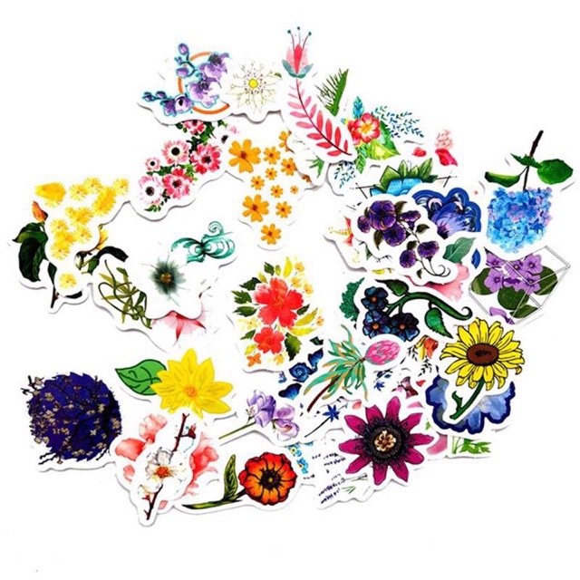 Set 30-50 sticker chủ đề hoa ép lụa /hình dán hoa nhiều mẫu