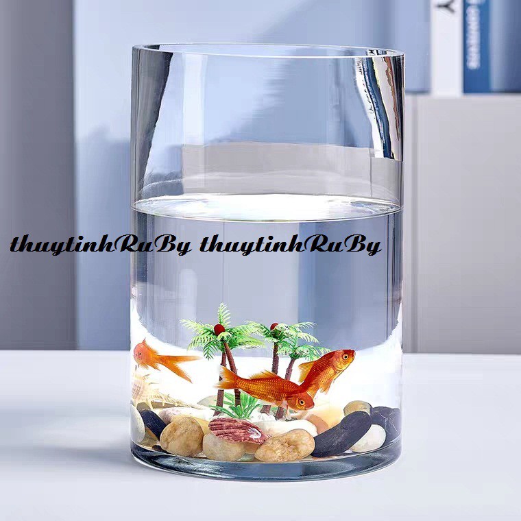 Bình bông lọ hoa thủy tinh D15xH20cm, trụ cắm hoa trang trí, chậu cây thủy sinh