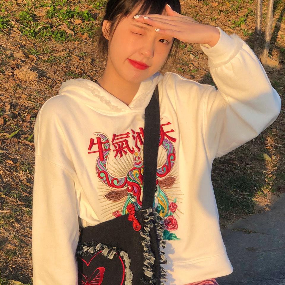 Túi Đeo Chéo Denim Thêu Hình Bướm Trái Tim Đáng Yêu