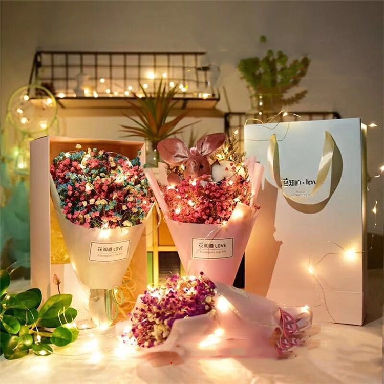 Dây đèn LED trang trí Giáng Sinh 1M/2M/3M/5M