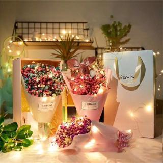 Dây đèn LED trang trí Giáng Sinh 1M/2M/3M/5M