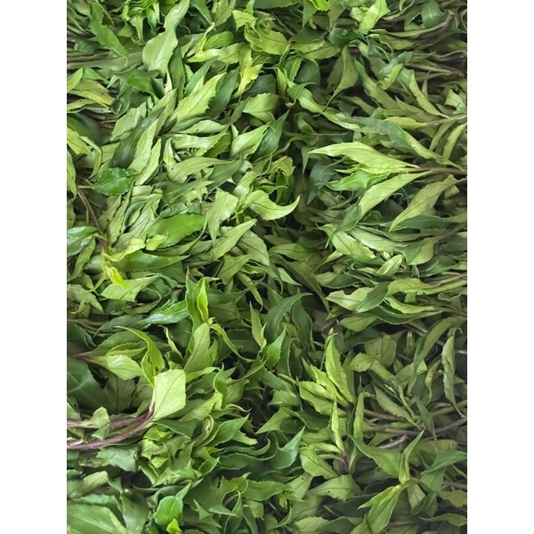 RAU LỦI  GIA LAI - ĐẶC SẢN TÂY NGUYÊN