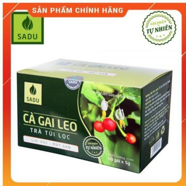 Hộp 250g Trà cà gai leo túi lọc ( hỗ trợ keto, gan)