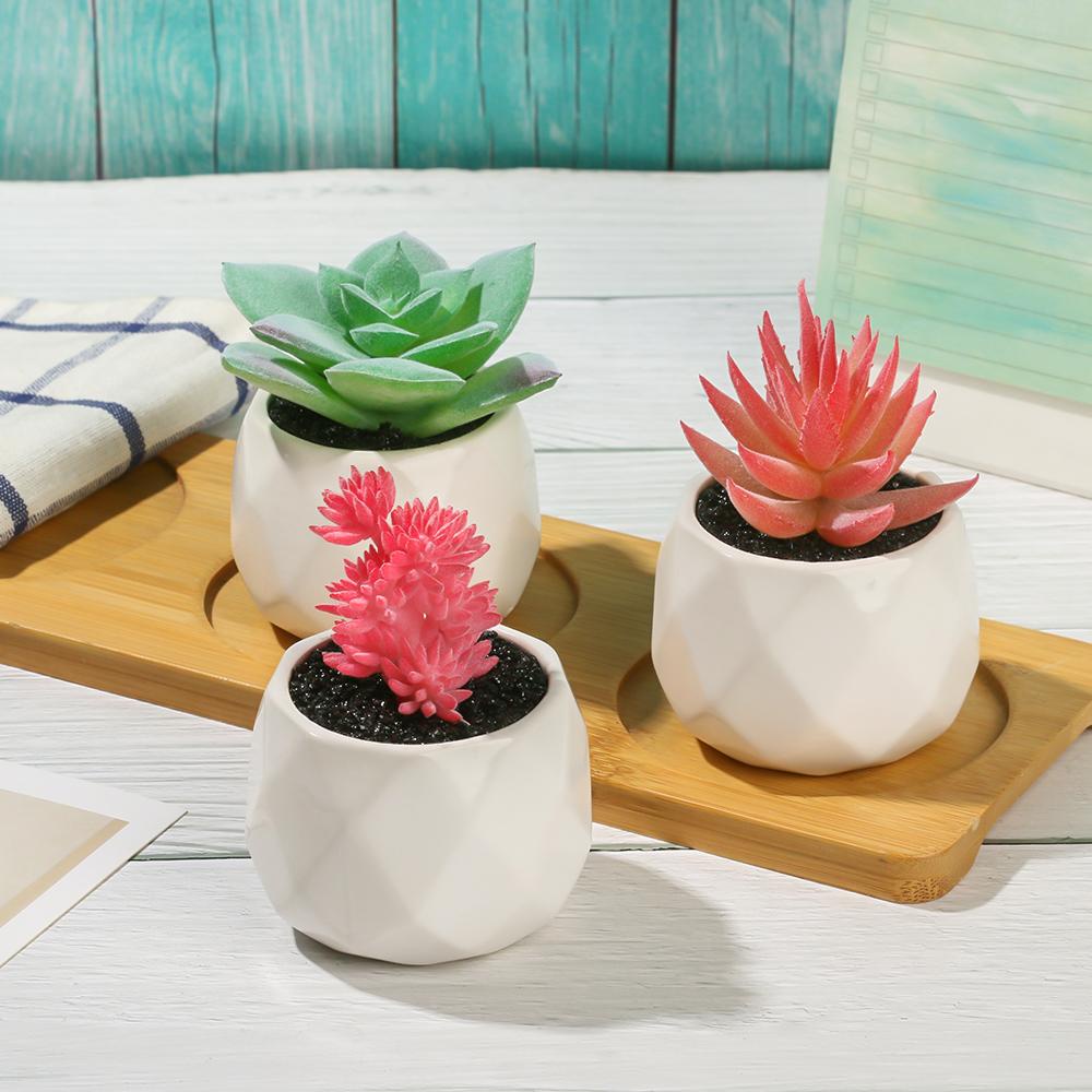 YOLA Chậu Cây Bonsai Giả Mini Trang Trí Nhà Cửa