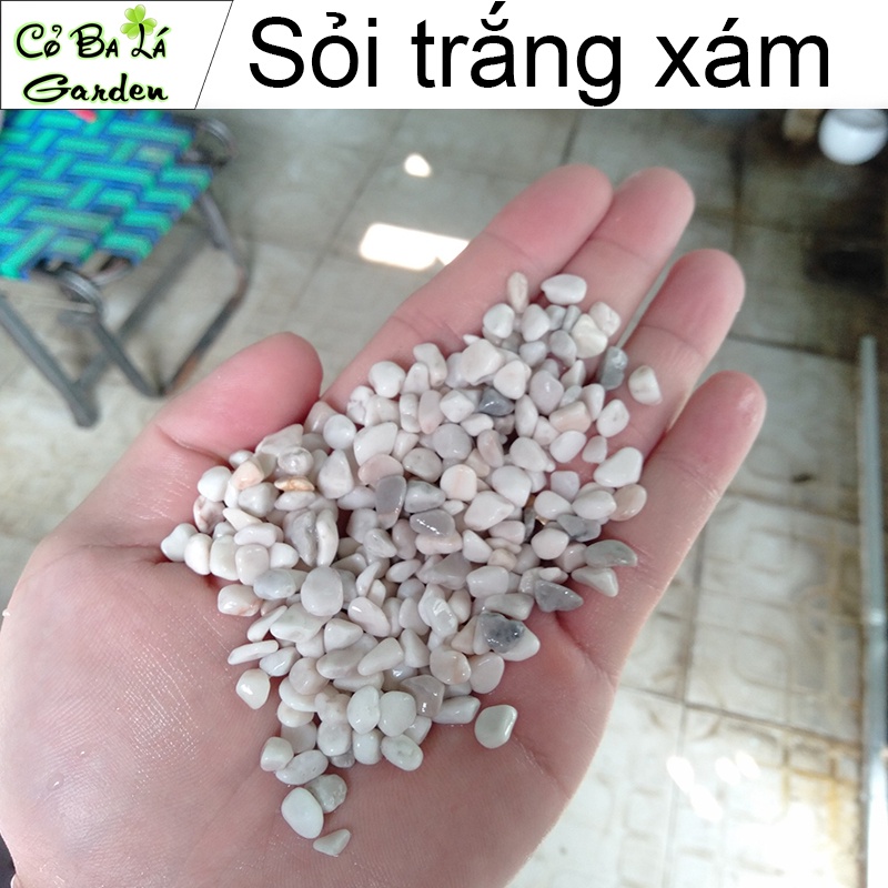 Sỏi Suối 500gr trang trí chậu cây,lót bể cá,phụ kiện trang trí