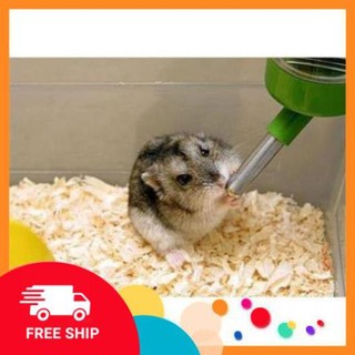 NLQK Bình bi uống nước cho hamsters, thỏ, nhím, sóc 80ml NL