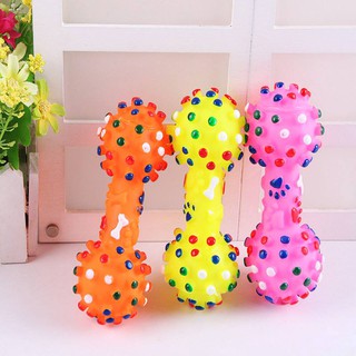 Xương gặm quả tạ kêu chút chít cho chó