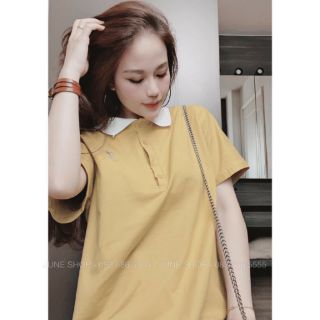 Đầm váy suông cổ bẻ trắng