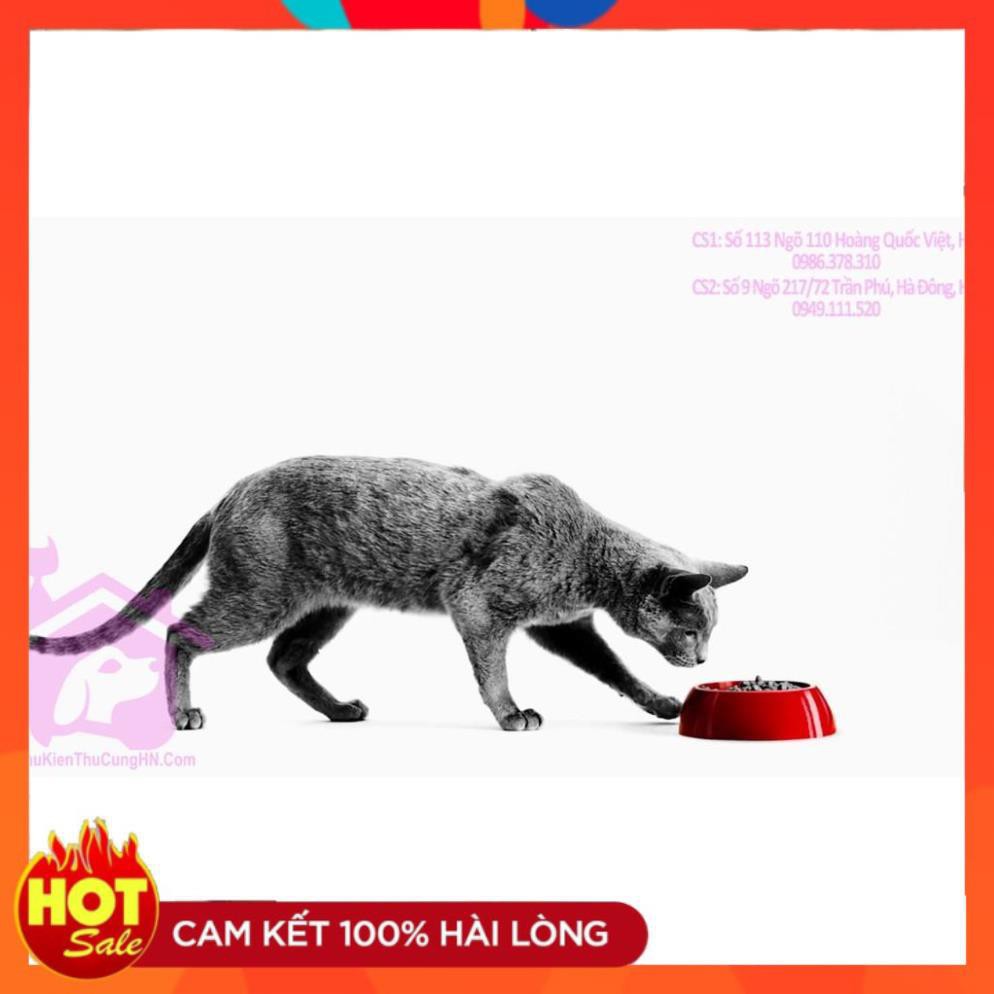Thức ăn cho mèo TIÊU HÓA LÔNG túi 400g ROYAL CANIN INTENSE HAIRBALL - Phụ kiện thú cưng Hà Nội