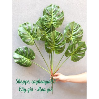 Cây giả _ Cây lá Rùa Cao Cấp