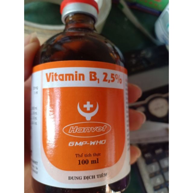 Vitamin B1 Hanvet (100ml) chỉ dùng trong thú y