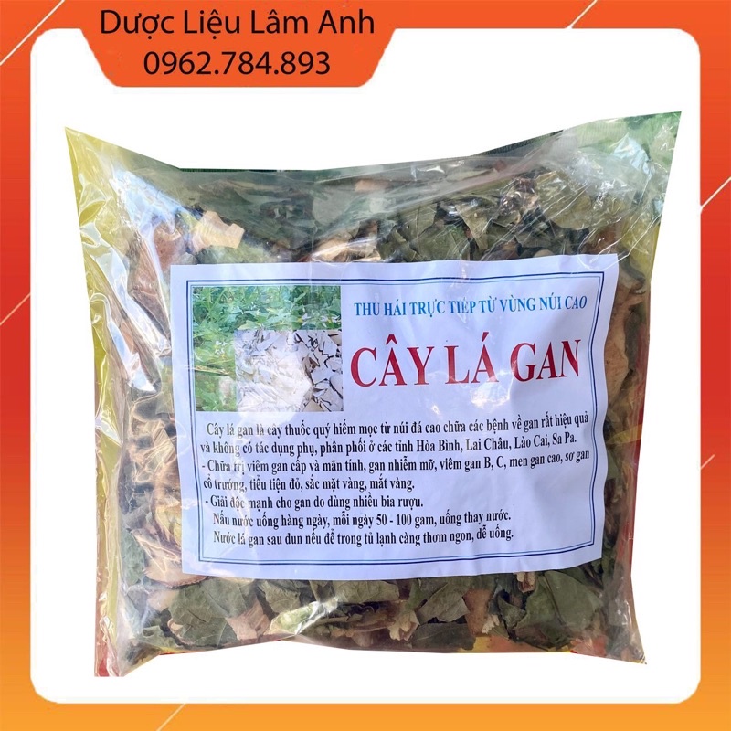 1kg Cây Lá Gan hỗ trợ men gan, sơ gan, gan mỡ, giải độc