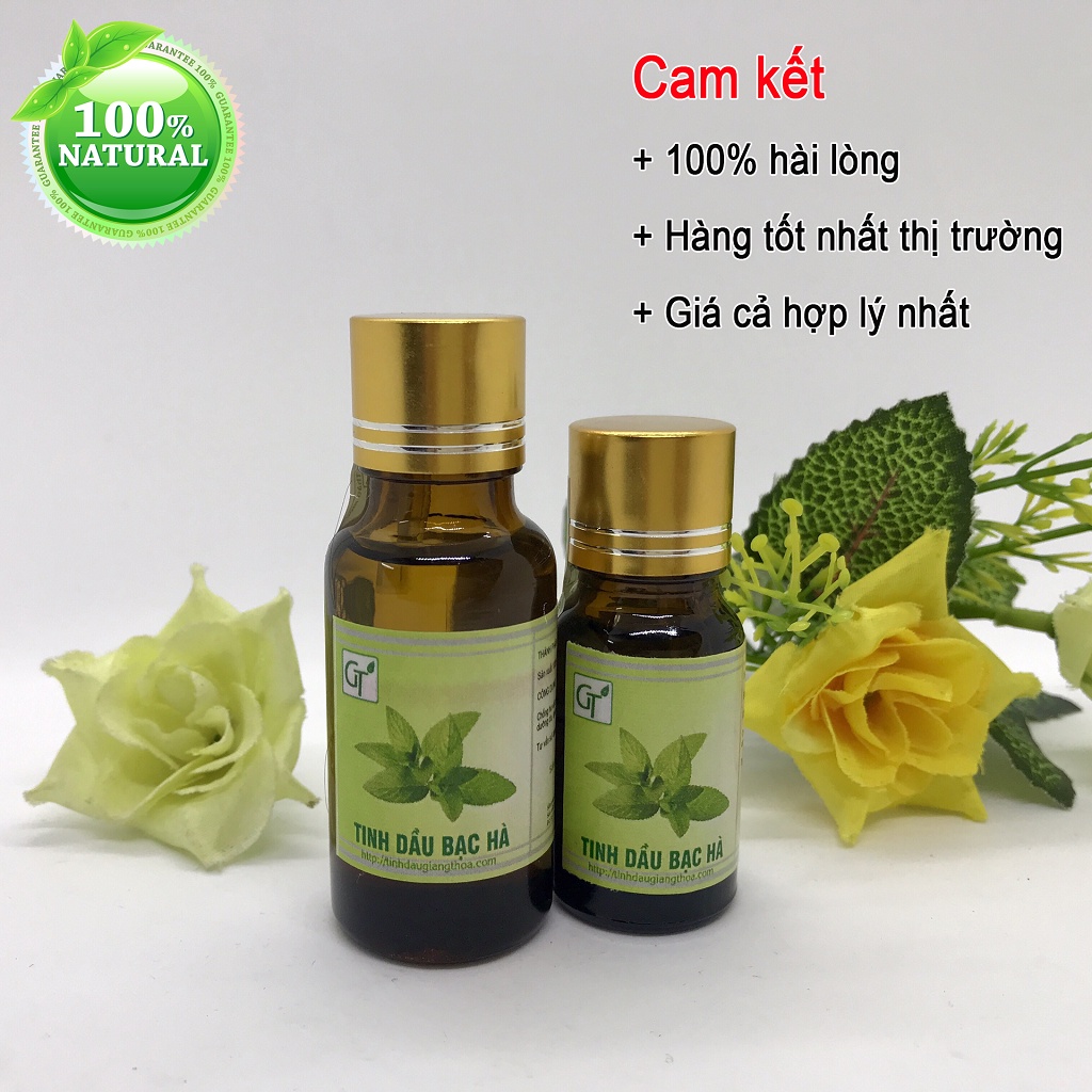 Tinh Dầu Bạc Hà Nguyên Chất 100% Thiên Nhiên - Tinh Dầu Đuổi Chuột Bạc Hà, Xông Phòng Khử Mùi Mạnh, The Mát