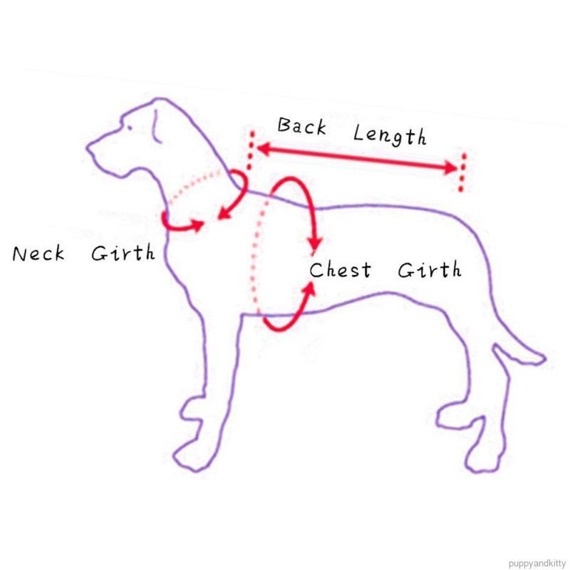 Trang phục cao bồi xinh xắn dành cho thú cưng