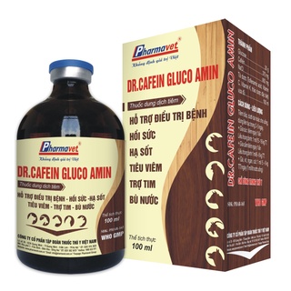 Dr-cafein gluco amin hỗ trợ điều trị bệnh – hồi sức – hạ sốt- tiêu viêm – trợ tim – bù nước