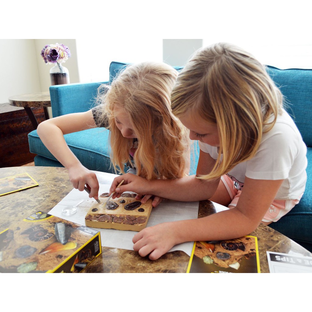 ĐỒ CHƠI KHẢO CỔ 15 HOÁ THẠCH QUÀ TẶNG CHO BÉ YÊU KHOA HỌC