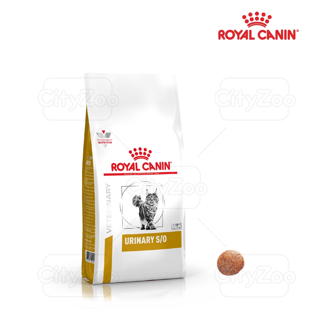 Hạt cho mèo bị sỏi thận Royal Canin Urinary S/O 400g
