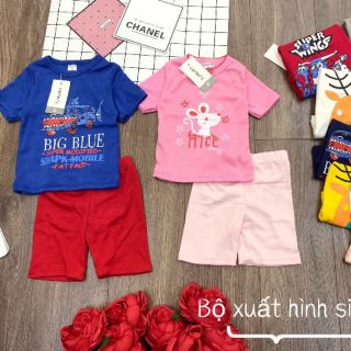 Bộ carter hàng VNXK